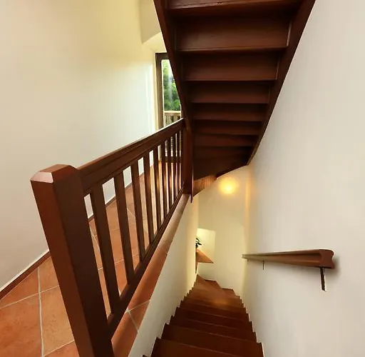 Casa de hóspedes Teddy